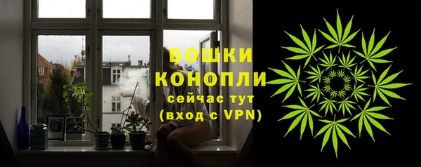 СК Аркадак