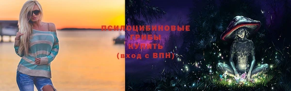 PSILOCYBIN Арсеньев