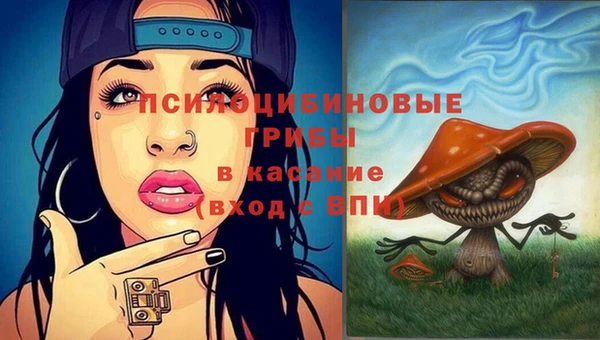 эйфоретик Алзамай