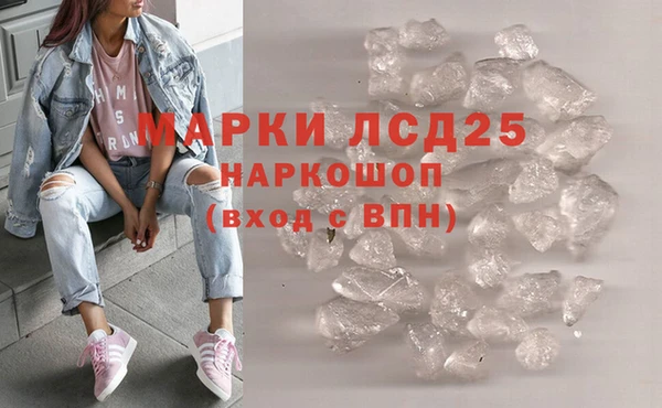 СК Аркадак