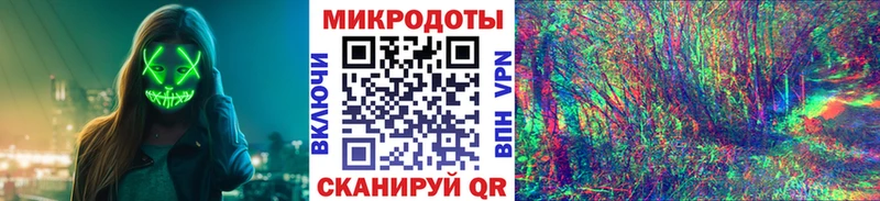 Псилоцибиновые грибы Psilocybine cubensis  Лукоянов 